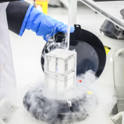 Scientist freezing embryos for frozen embryo transfer, a type of IVF | RSC of the San Francisco Bay Area