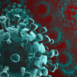 Microscopic view of COVID-19 virus | Reproductive Science Center of the San Francisco Bay Area